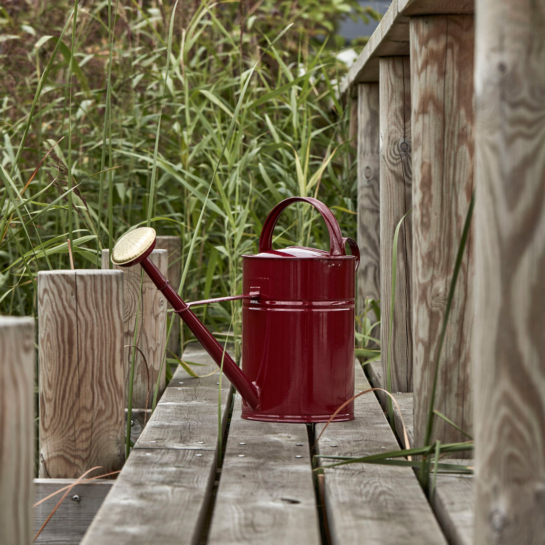 Watering can, hdwan, burgundy