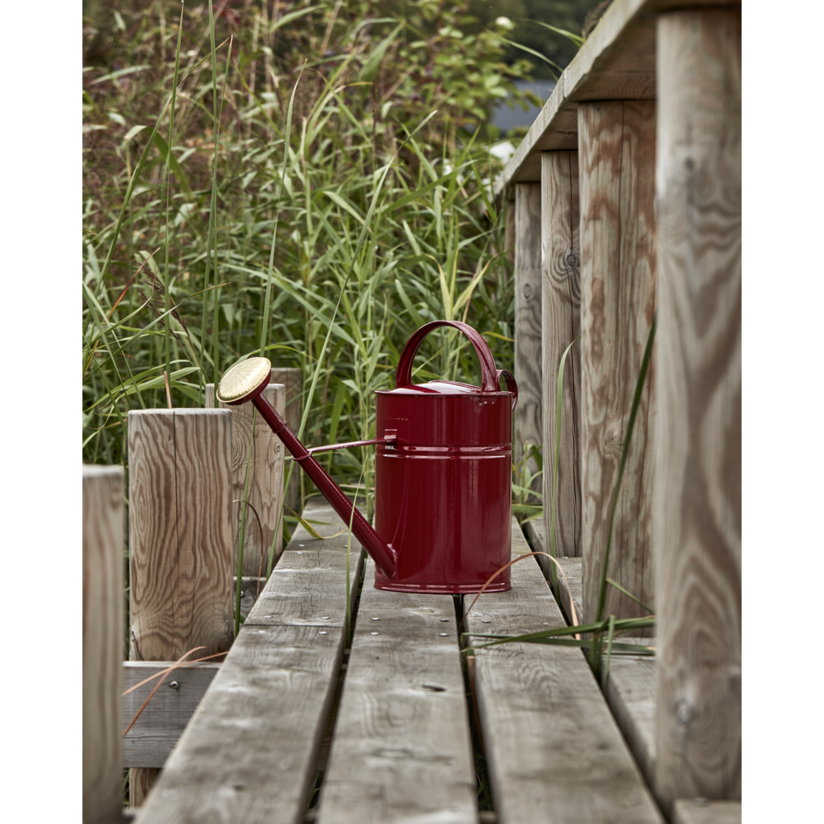 Watering can, hdwan, burgundy