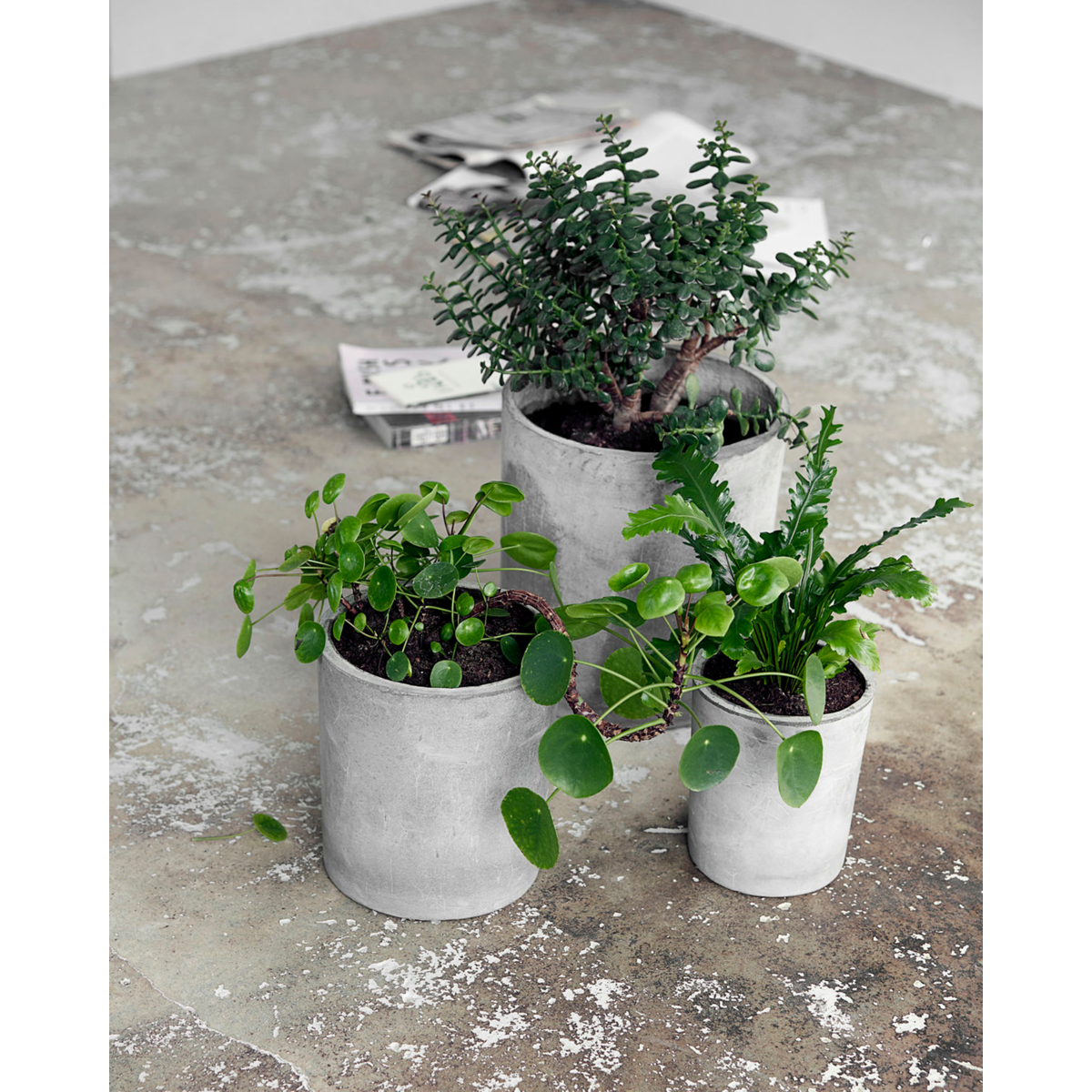 House Doctor herb pot, ave, light gray-s:, h: 22 cm, dia: 18.5 cm, m :, h: 27 cm, dia: 24 cm, l :, h: