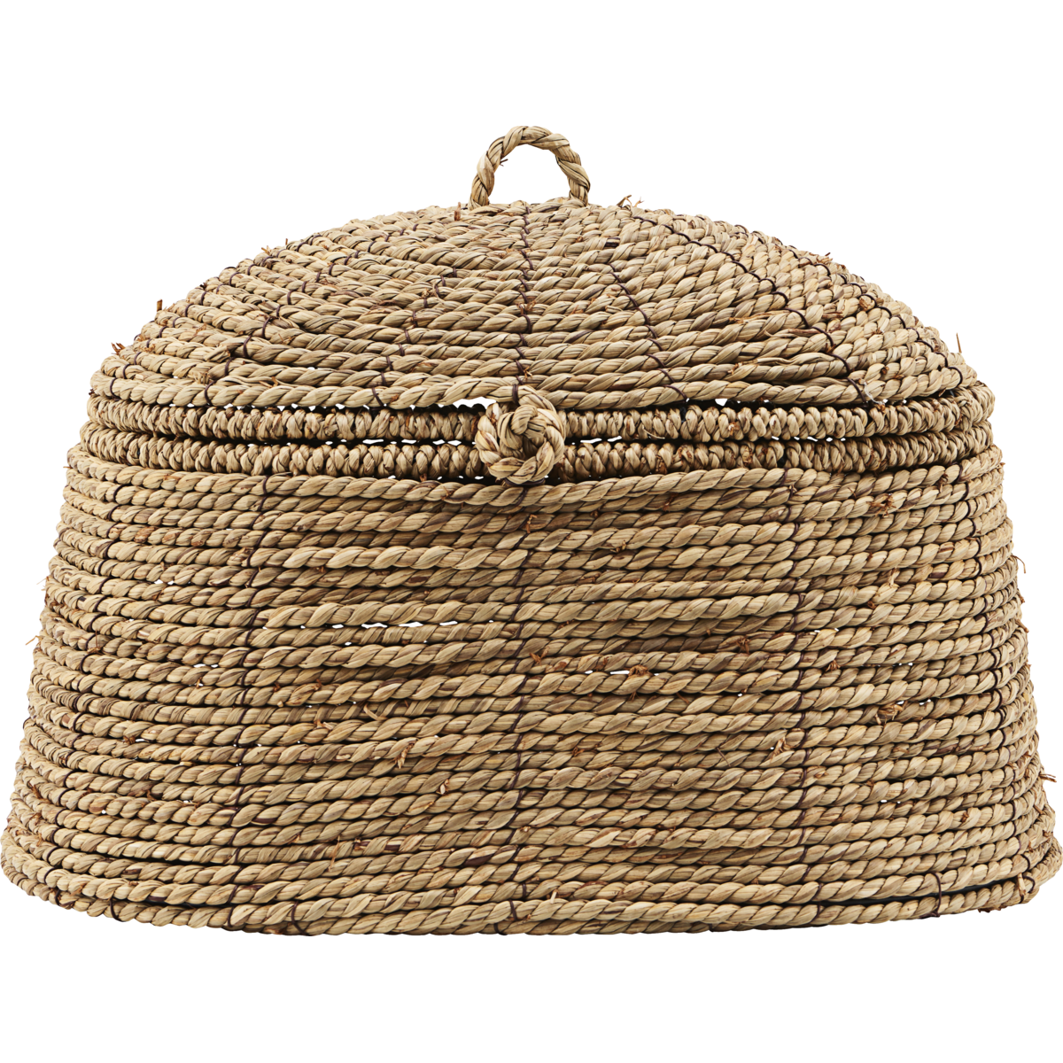 Basket with lid, hdrama, nature