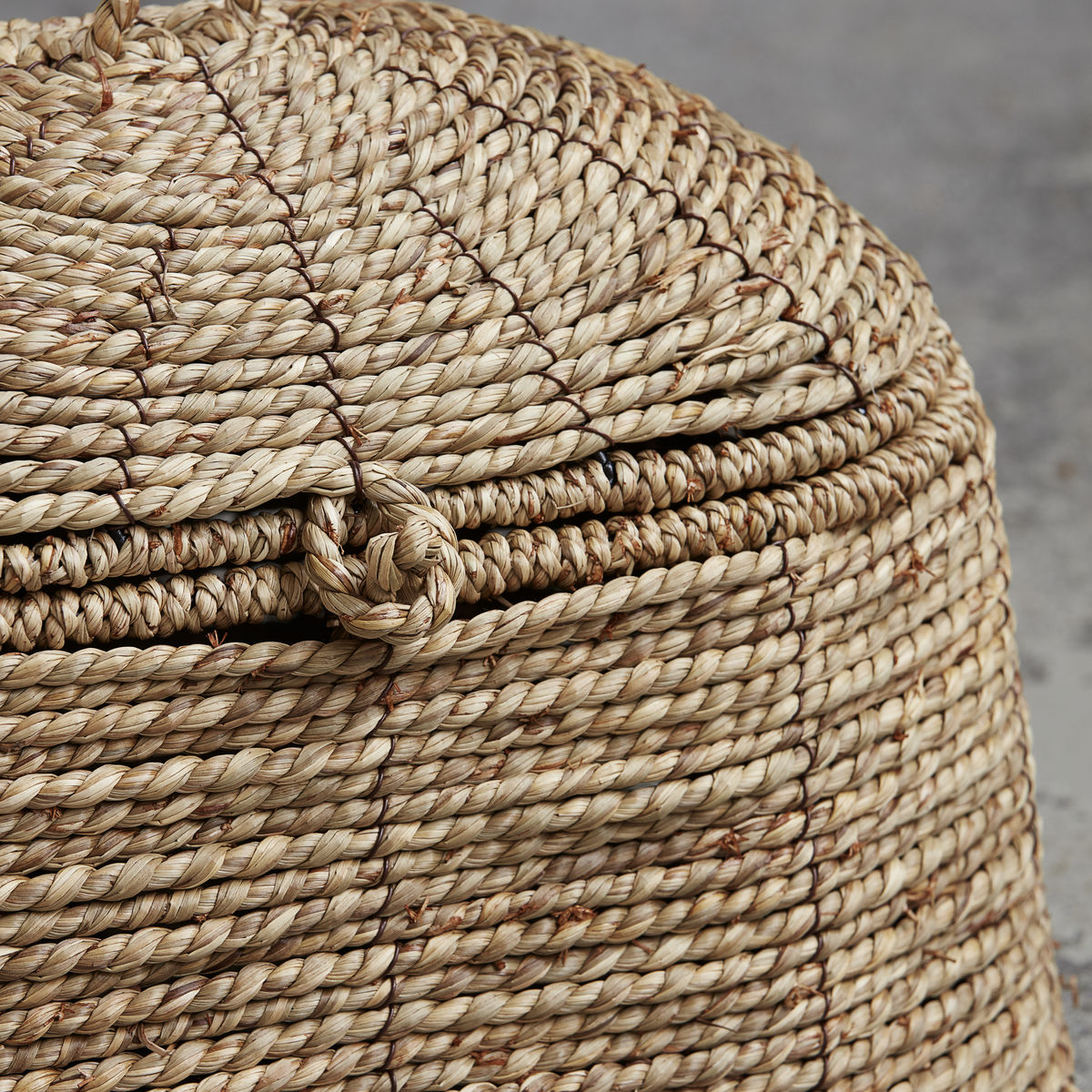 Basket with lid, hdrama, nature