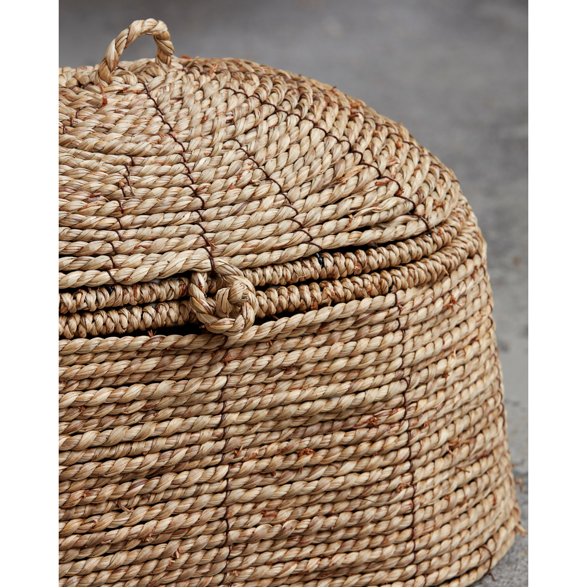 Basket with lid, hdrama, nature