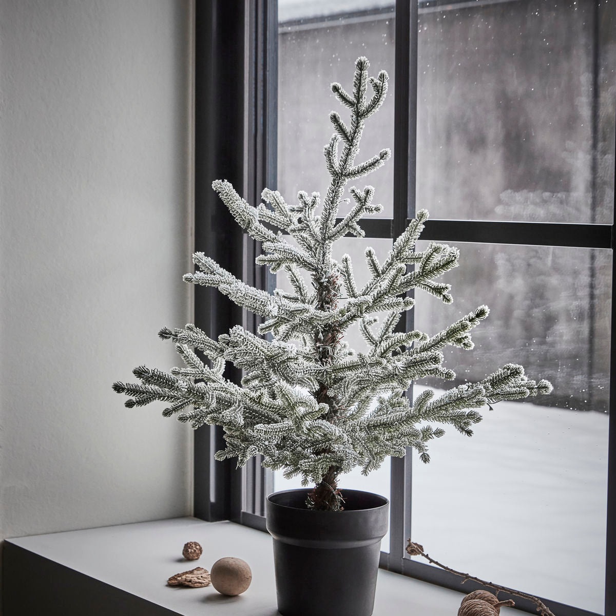 Christmas tree with joints, hdnat, nature