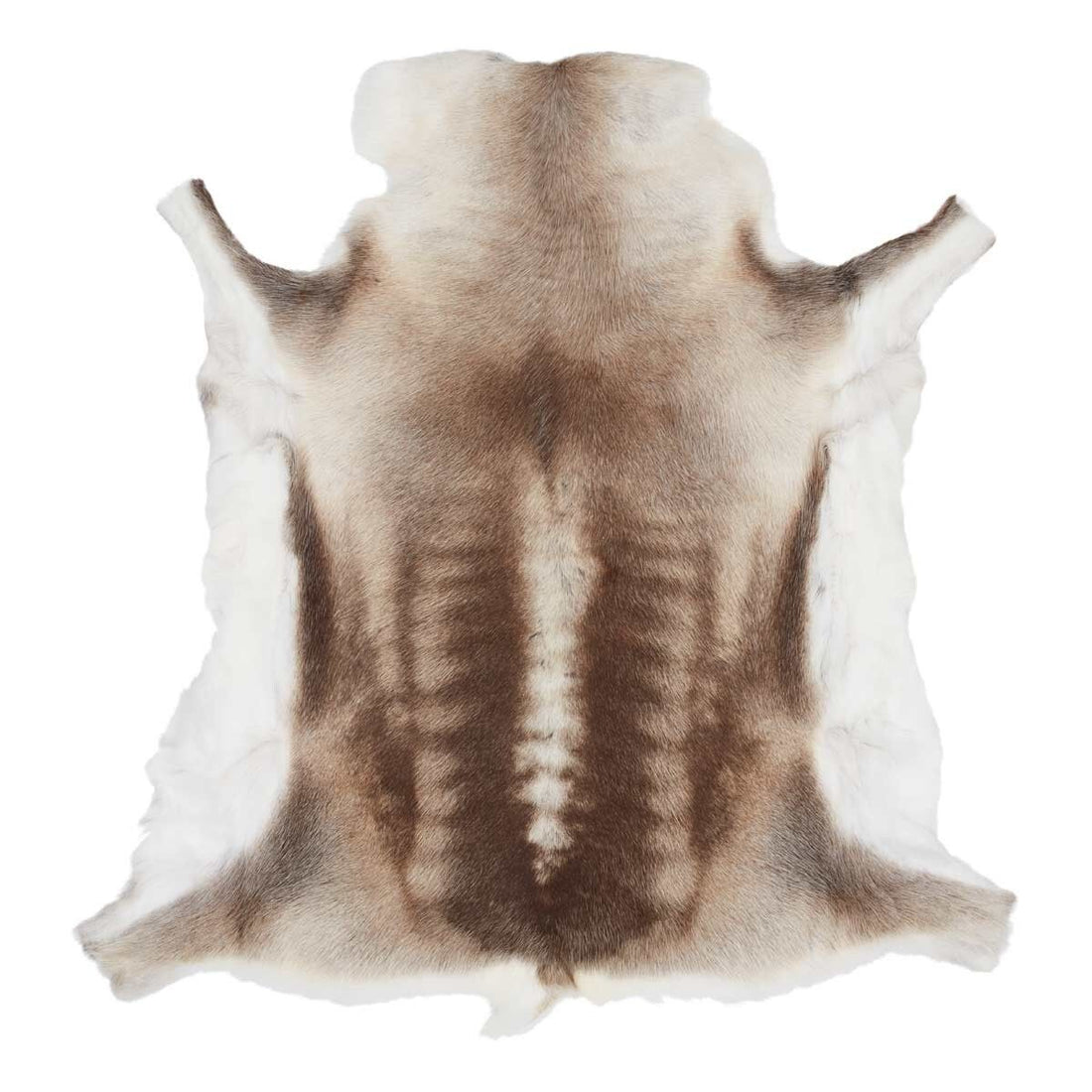 Reindeer skin | Finland | 70x110 cm