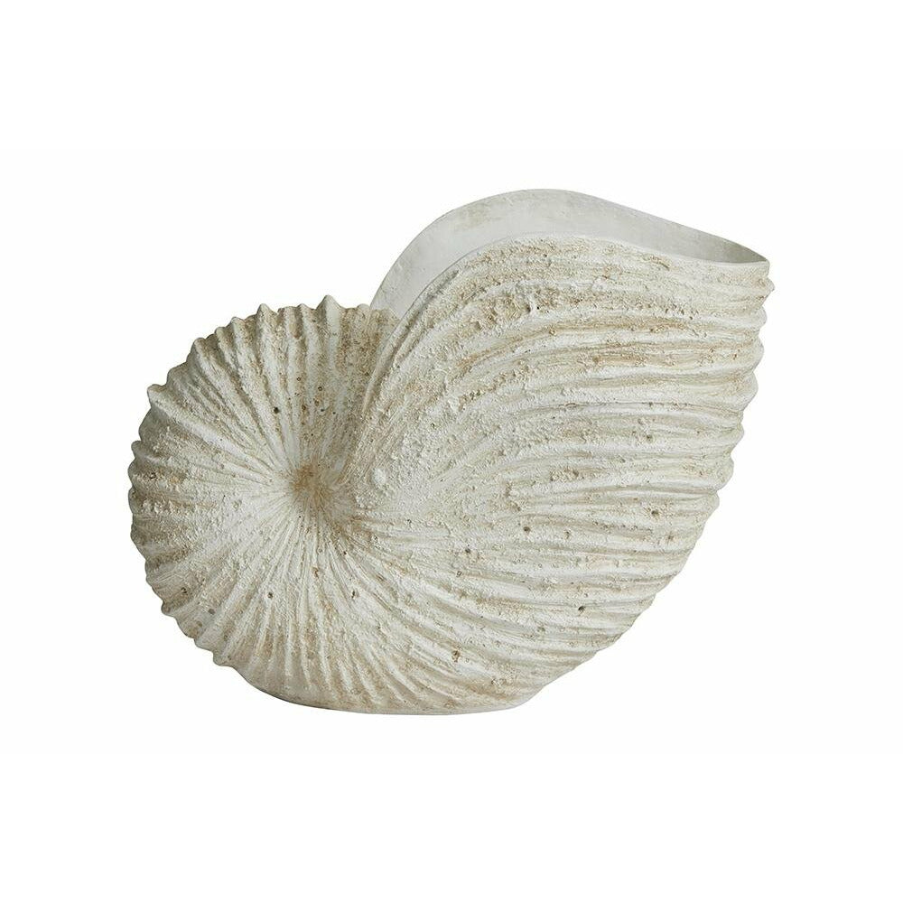 Nordal KETOY conch for decoration - H41 cm - white