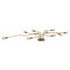 Nordal DEVI ceiling lamp, golden, 8 lights - Nordal - DesignGaragen.dk